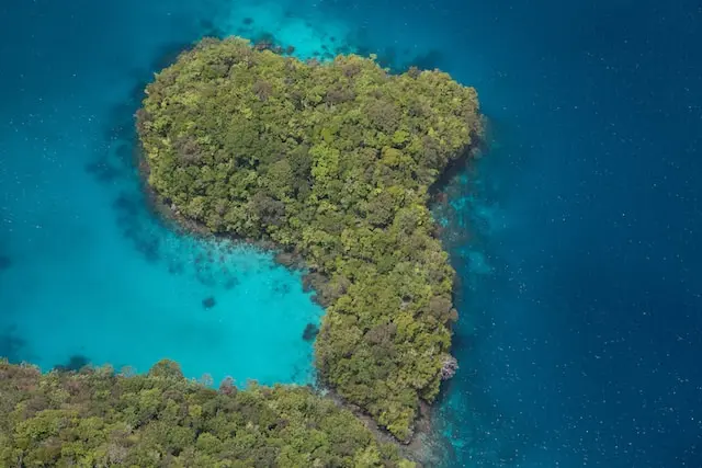 An island of trees surrounded by blue waters